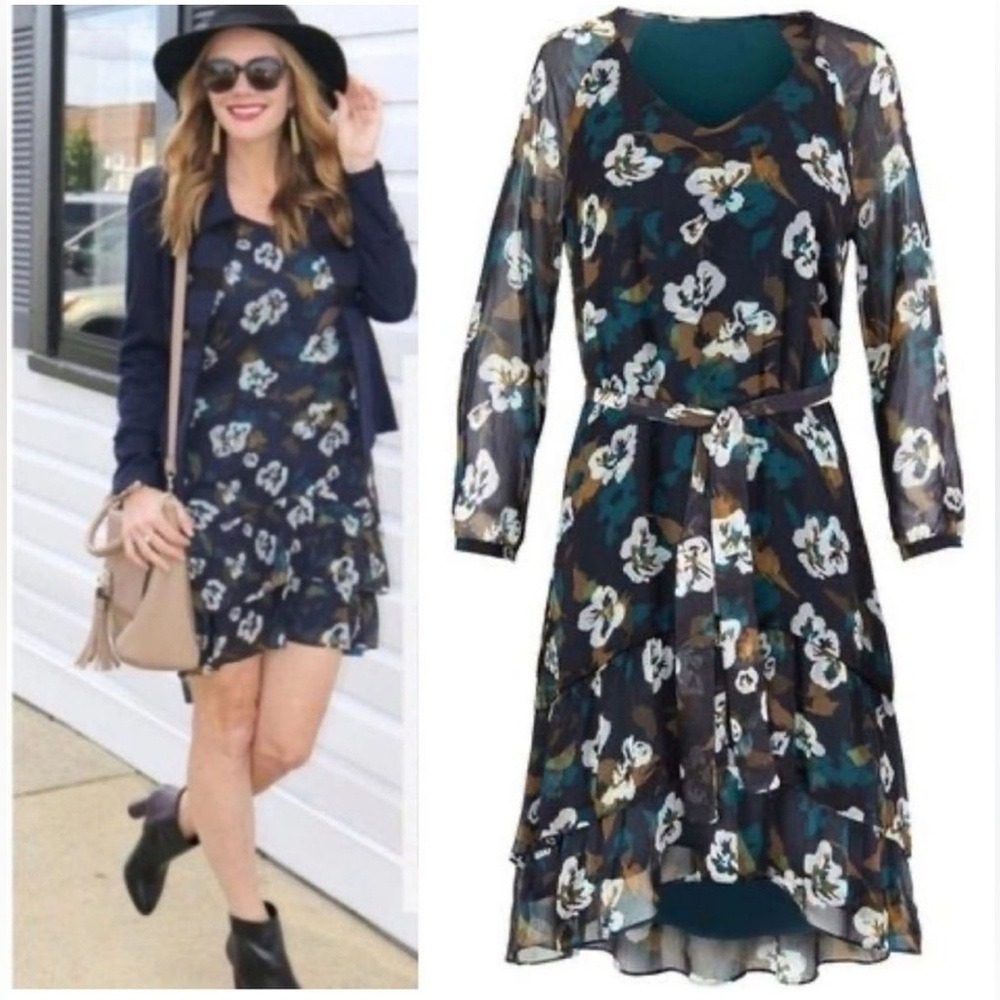 CAbi Pirouette Floral Semi-Sheer Long Sleeve Tiered Dress Style 3460, Size Small - Picture 1 of 14